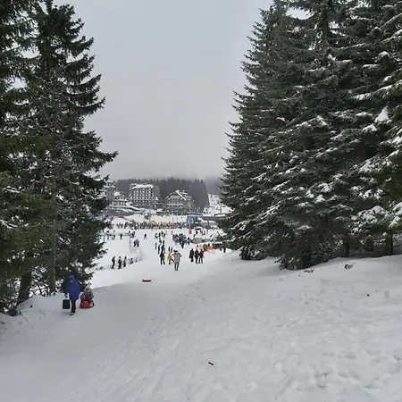 Kop P95 Milmari Apartmán Kopaonik