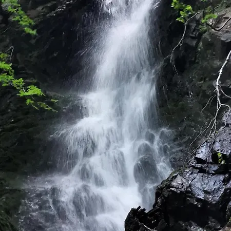 Kop P95 Milmari Apartament