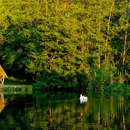 Apartament Kop P95 Milmari