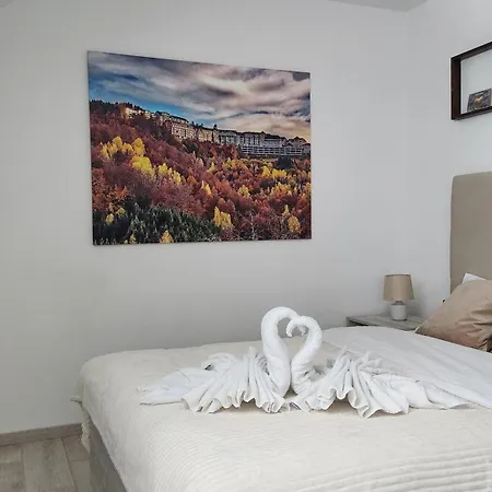 Kop P95 Milmari Kopaonik