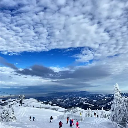 Apartament Kop P95 Milmari *