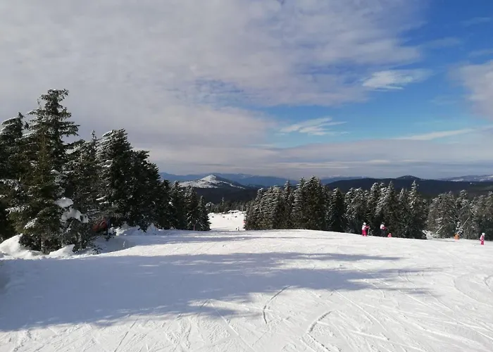 아파트 Kop P95 Milmari