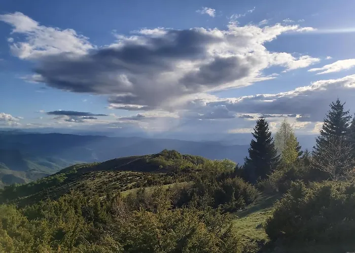 아파트 Kop P95 Milmari *