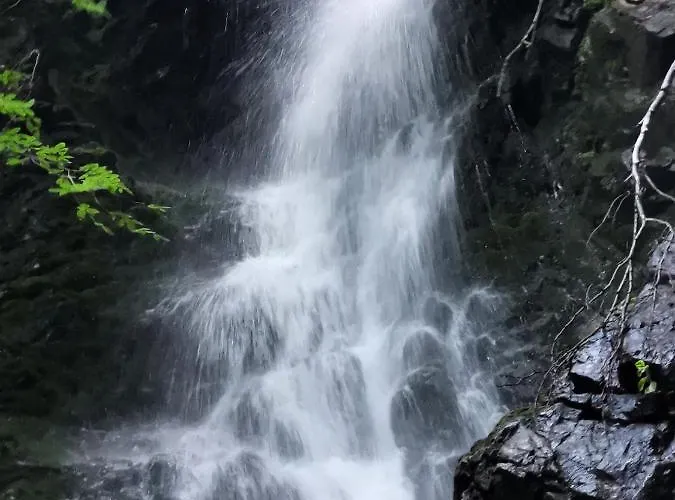 Kop P95 Milmari 아파트